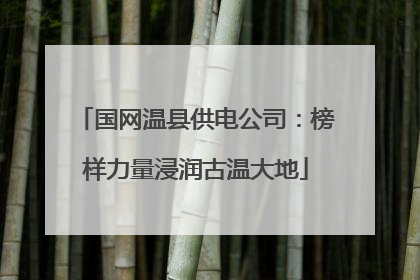 国网温县供电公司：榜样力量浸润古温大地