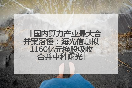 国内算力产业最大合并案落锤：海光信息拟1160亿元换股吸收合并中科曙光