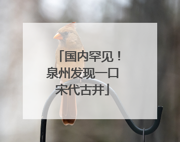 国内罕见！泉州发现一口宋代古井