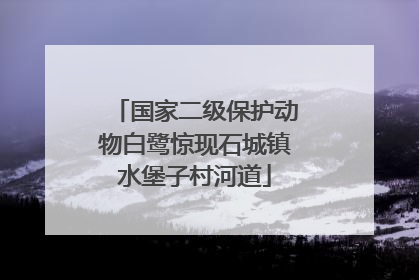 国家二级保护动物白鹭惊现石城镇水堡子村河道