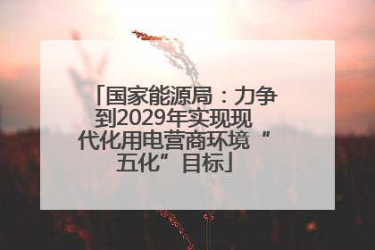国家能源局：力争到2029年实现现代化用电营商环境“五化”目标
