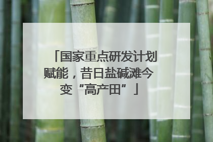 国家重点研发计划赋能，昔日盐碱滩今变“高产田”