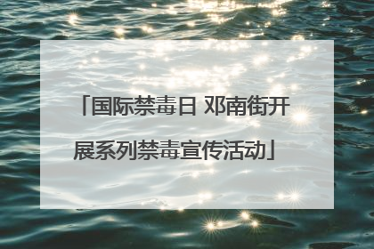 国际禁毒日 邓南街开展系列禁毒宣传活动