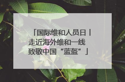 国际维和人员日丨走近海外维和一线 致敬中国“蓝盔”