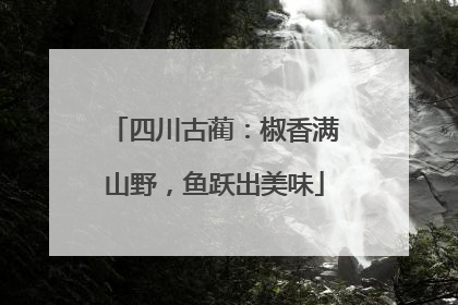 四川古蔺：椒香满山野，鱼跃出美味