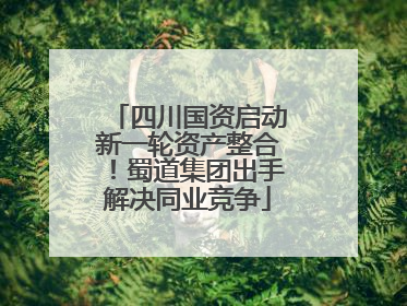 四川国资启动新一轮资产整合！蜀道集团出手解决同业竞争