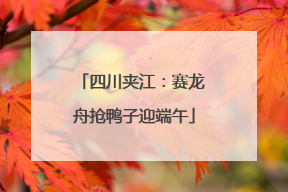 四川夹江：赛龙舟抢鸭子迎端午