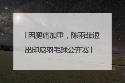 因腿痛加重，陈雨菲退出印尼羽毛球公开赛