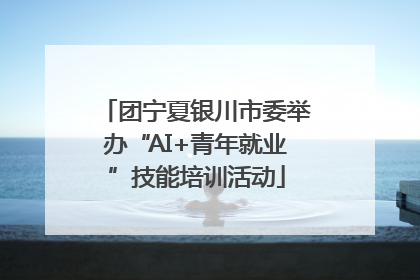 团宁夏银川市委举办“AI+青年就业”技能培训活动