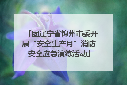 团辽宁省锦州市委开展“安全生产月”消防安全应急演练活动
