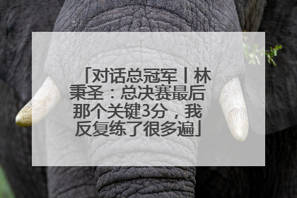 对话总冠军丨林秉圣：总决赛最后那个关键3分，我反复练了很多遍