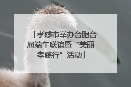 孝感市举办台胞台属端午联谊暨“美丽孝感行”活动