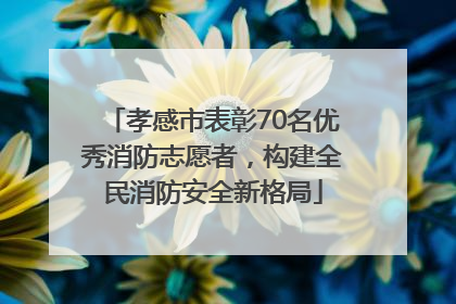 孝感市表彰70名优秀消防志愿者，构建全民消防安全新格局