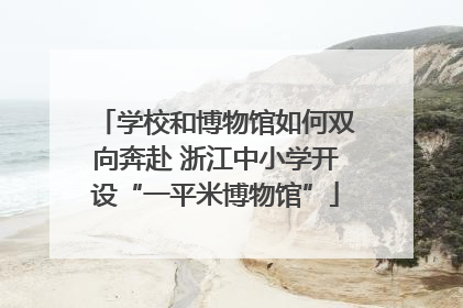 学校和博物馆如何双向奔赴 浙江中小学开设“一平米博物馆”