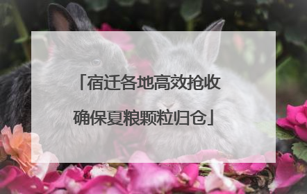 宿迁各地高效抢收 确保夏粮颗粒归仓