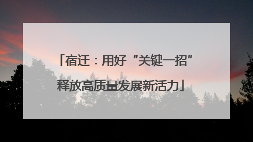 宿迁：用好“关键一招” 释放高质量发展新活力
