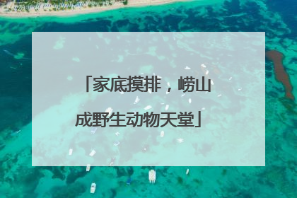 家底摸排，崂山成野生动物天堂