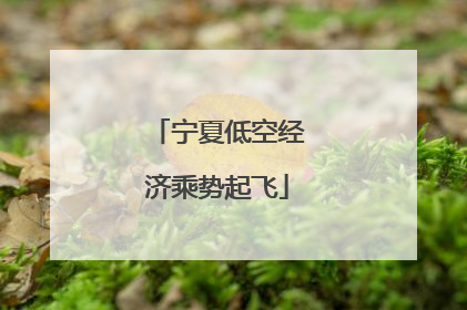 宁夏低空经济乘势起飞