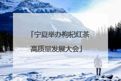 宁夏举办枸杞红茶高质量发展大会