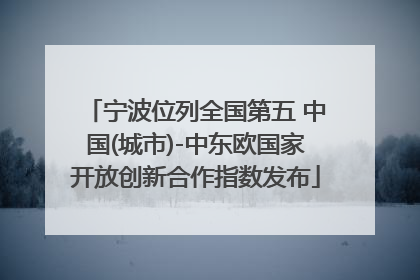 宁波位列全国第五 中国(城市)-中东欧国家开放创新合作指数发布