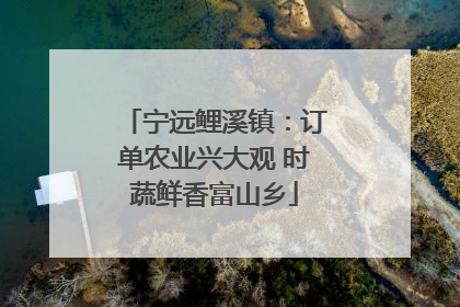宁远鲤溪镇：订单农业兴大观 时蔬鲜香富山乡