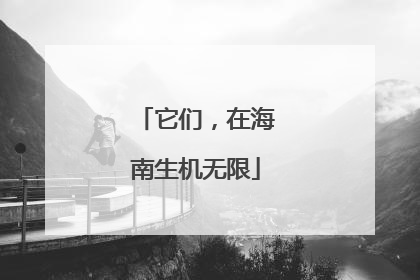 它们，在海南生机无限