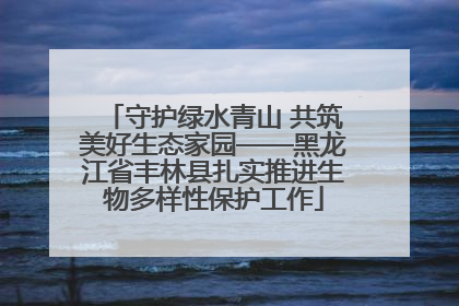 守护绿水青山 共筑美好生态家园——黑龙江省丰林县扎实推进生物多样性保护工作