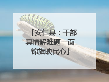 安仁县：干部真情解难题一面锦旗映民心