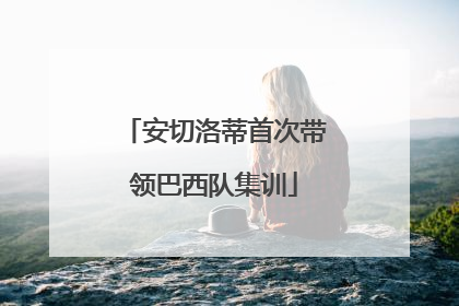 安切洛蒂首次带领巴西队集训