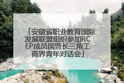 安徽省职业教育国际发展联盟组织参加RCEP成员国暨长三角工商界青年对话会