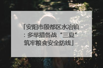 安阳市殷都区水冶镇：多举措备战“三夏” 筑牢粮食安全防线