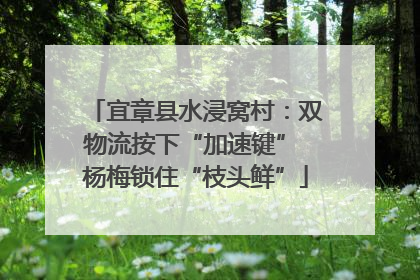 宜章县水浸窝村：双物流按下“加速键” 杨梅锁住“枝头鲜”