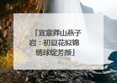 宜章莽山燕子岩：初夏花似锦 绣球绽芳颜