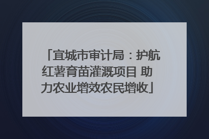 宜城市审计局：护航红薯育苗灌溉项目 助力农业增效农民增收
