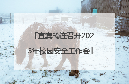 宜宾筠连召开2025年校园安全工作会