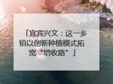 宜宾兴文：这一乡镇以创新种植模式拓宽“增收路”