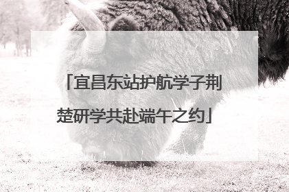 宜昌东站护航学子荆楚研学共赴端午之约