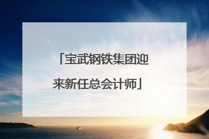 宝武钢铁集团迎来新任总会计师