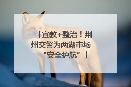 宣教+整治！荆州交警为两湖市场“安全护航”