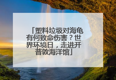 塑料垃圾对海龟有何致命伤害？世界环境日，走进开普敦海洋馆