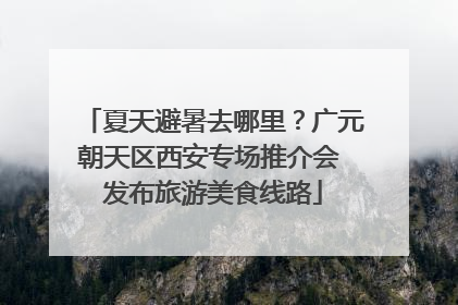 夏天避暑去哪里？广元朝天区西安专场推介会 发布旅游美食线路