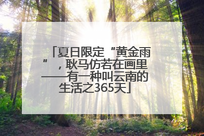 夏日限定“黄金雨”，耿马仿若在画里——有一种叫云南的生活之365天