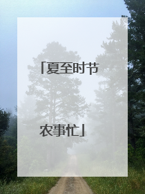夏至时节农事忙