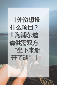 外资想投什么项目？上海浦东邀请供需双方“坐下来掰开了谈”