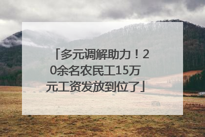 多元调解助力！20余名农民工15万元工资发放到位了