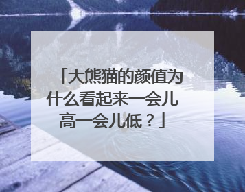 大熊猫的颜值为什么看起来一会儿高一会儿低？