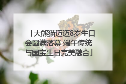大熊猫迈迈8岁生日会圆满落幕 端午传统与国宝生日完美融合