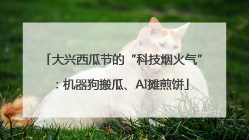 大兴西瓜节的“科技烟火气”：机器狗搬瓜、AI摊煎饼