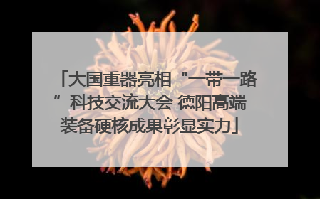 大国重器亮相“一带一路”科技交流大会 德阳高端装备硬核成果彰显实力