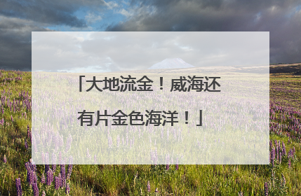 大地流金！威海还有片金色海洋！